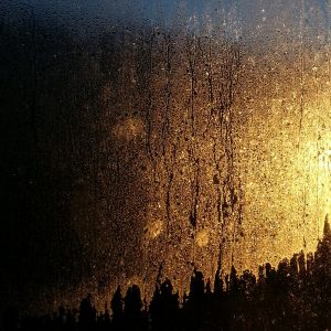 Winter light