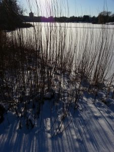 Winter light