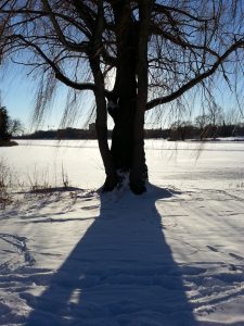 Winter light