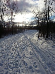 Winter light