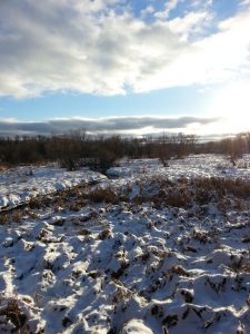Winter light