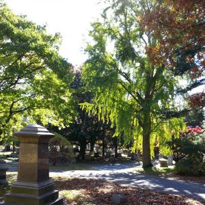 Mount Auburn Cemetery
