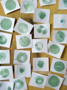 Art every day week 17: Cathy Durso's daily art challenge
