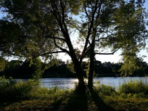 Influence of the Outdoors - Lake of the Isles