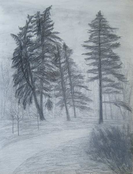 Tall Pines - Cathy Durso