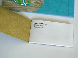 The Natural History Museum #2, an artist's book by Cathy Durso