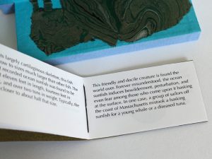 The Natural History Museum #2, an artist's book by Cathy Durso