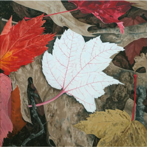 painting of colorful oak and maple leaves that have fallen