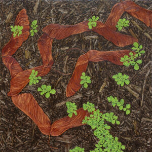 painting of maple samaras and green plants on mulch