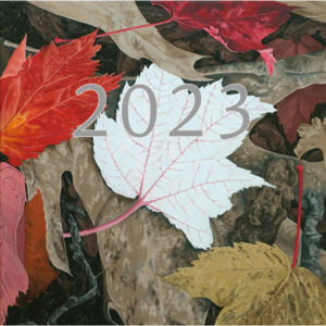 painting of colorful oak and maple leaves that have fallen