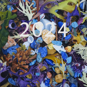 very colorful oil painting of a magnified view of shells, rocks, and seaweed