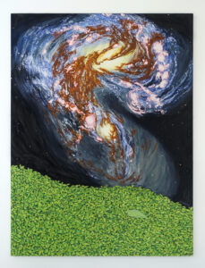 oil painting of a dead katydid lying on a bed of green plants, under a dark sky showing a colorful collision of two galaxies