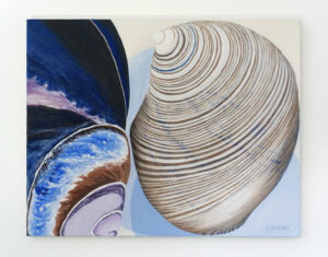 Oil painting of two shells, cropped so that the shells are much larger than life and very close to each other to create interesting shapes and lines