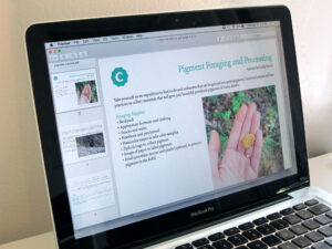 computer screen showing one page of a pigment foraging tutorial