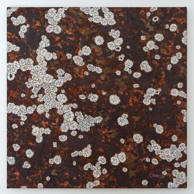 Oil painting depicting white barnacles scattered across the surface of a dark reddish colored rock