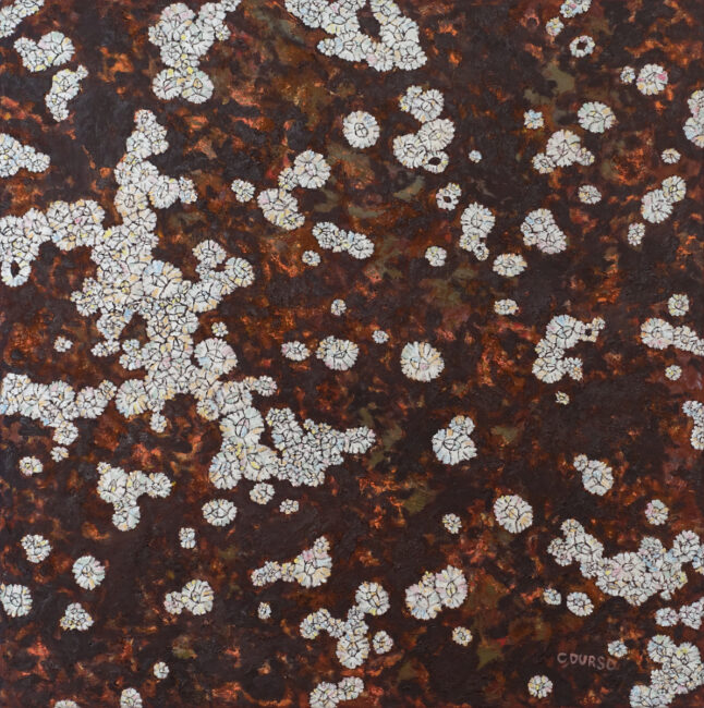 Oil painting showing barnacles close up on a mottled brown and red rock